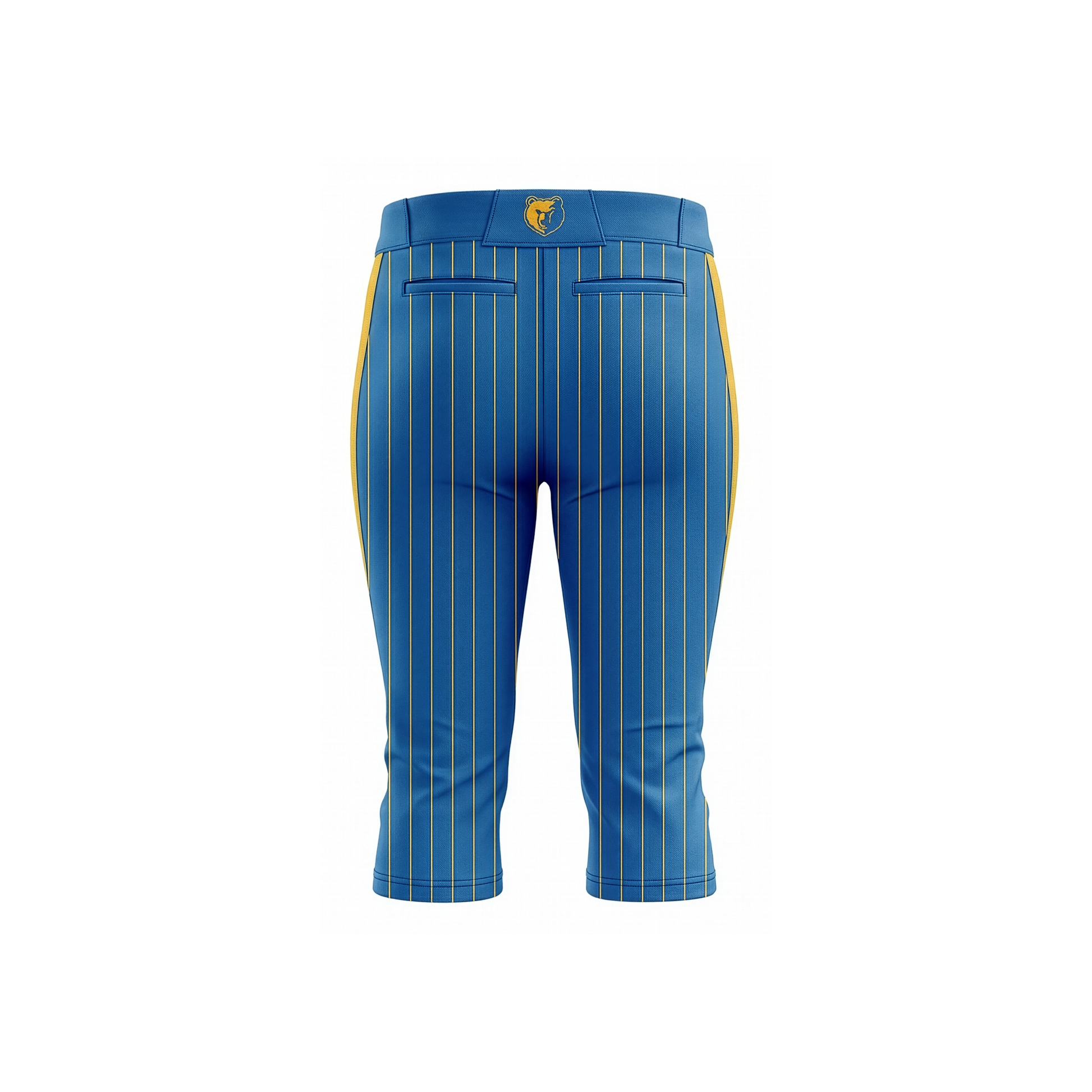 Custom Fastpitch Pro Pant Back