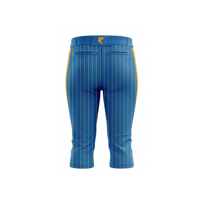 Custom Fastpitch Pro Pant Back